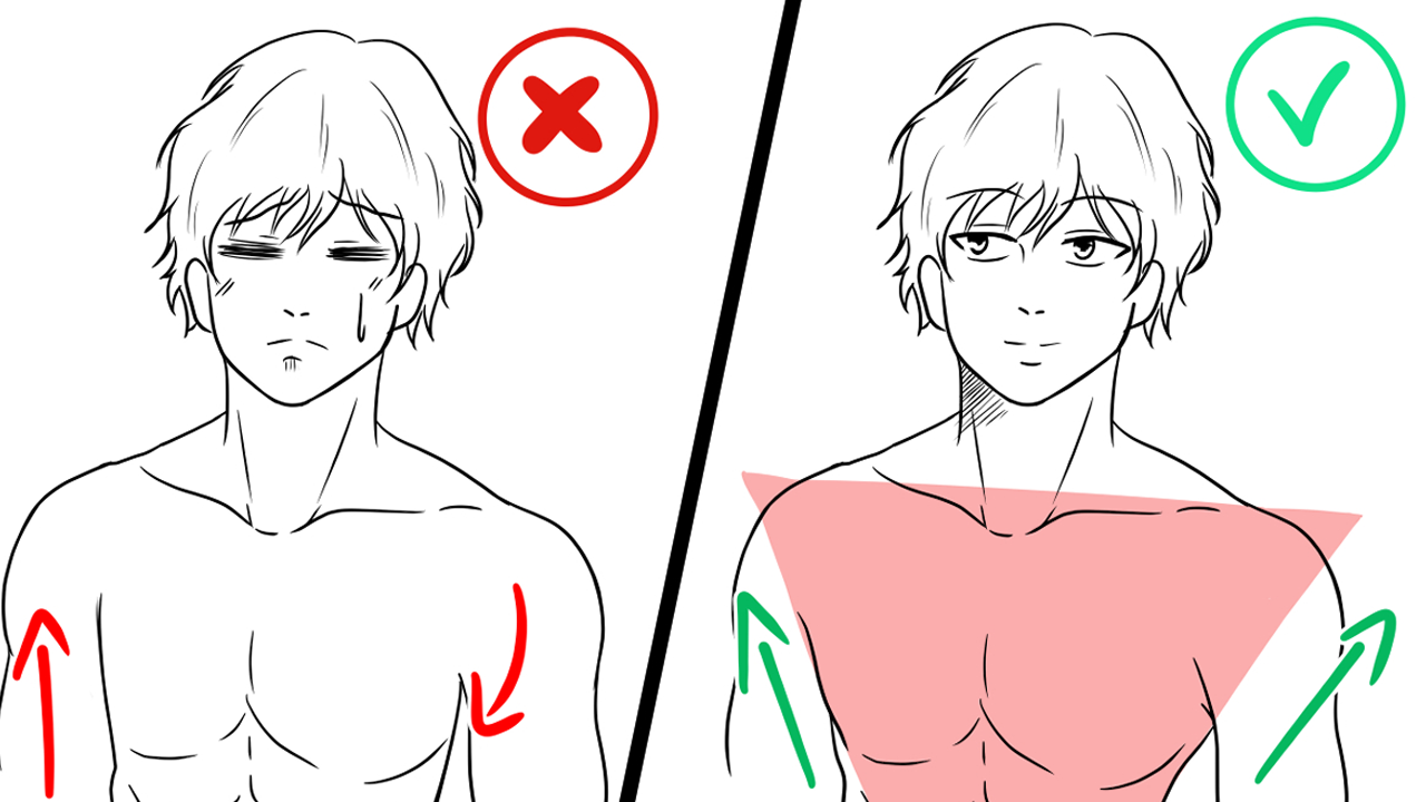 6 Erreurs en Anatomie que tu fais